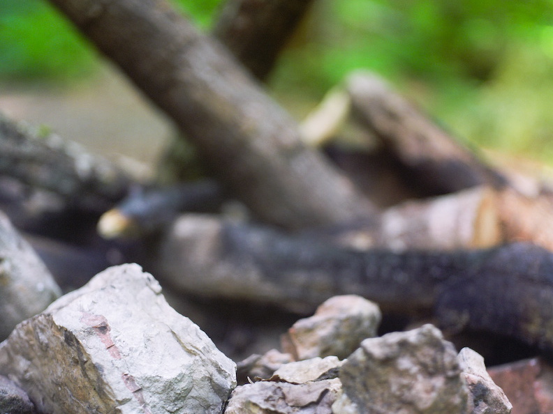 Red River Gorge, June 18, 2010